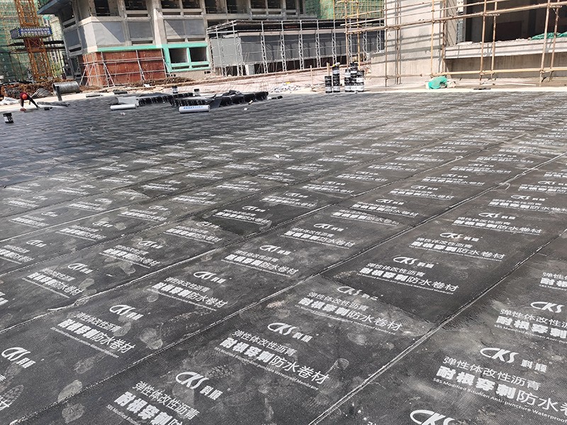 1639703260325931.jpg d2a14d0264da61d5cb96eb62b323514.jpg